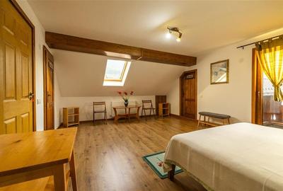 FILM! Investitie 2 in 1:Unitati independente +domeniu 1.742mp,aria Bran,Tohanita - 31