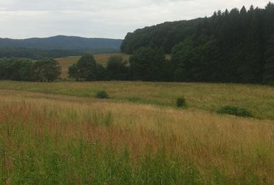 Teren de 1350 mp, în Vlădeni - 5