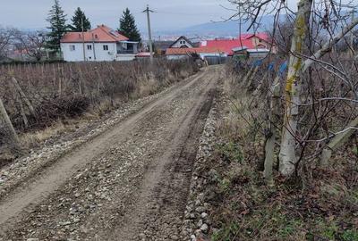 Teren de 2800 mp, în Exterior Vest - 1