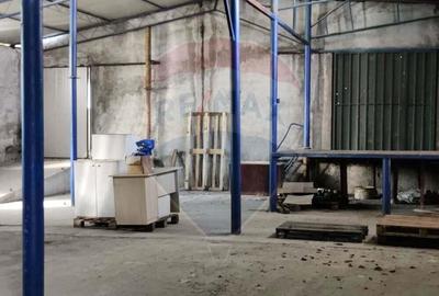 Spa?iu industrial de vanzare in Ilia, jud Hunedoara, la 3 km de A1 - 2