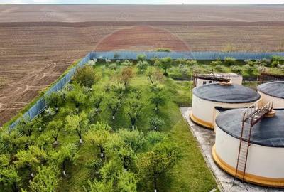 Crama din Buciumeni Afacere la cheie - 4