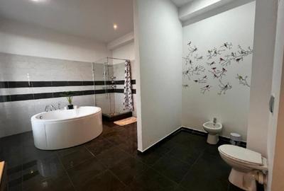 INCHIRIERE PENTHOUSE LUX ALEEA PRIVIGHETORILOR - 15