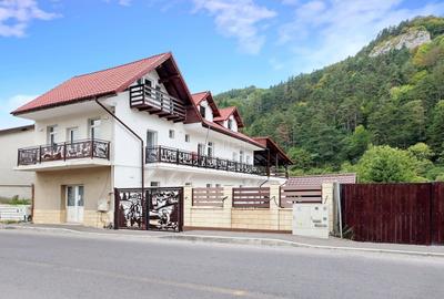 Proximitate imediata fata de Castelul Bran - 8