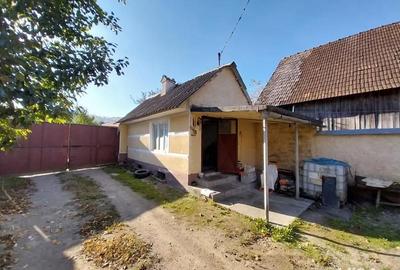 Casă cu 3 camere cu Teren 3740 Mp în Fântâna - 3