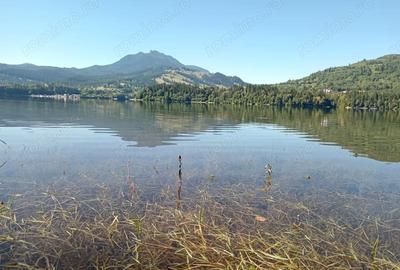Casă cu Teren 1700 Mp în Hangu - 5