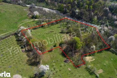 Teren de 15856 mp, în Valea Iașului - 8