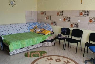 Casă cu Teren 1000 Mp în Câmpu Mare - 1