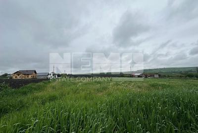 Teren Construcții intravilan de 2000 mp, în Moara Carp - 1