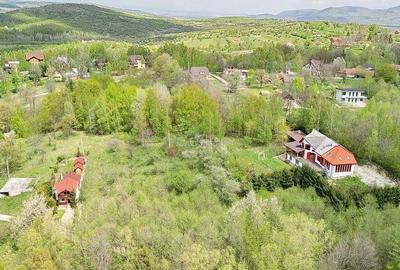 Teren intravilan Bran- Predelut - 16