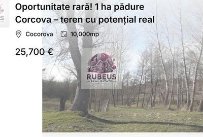Spațiu comercial, în Cerneți - 2