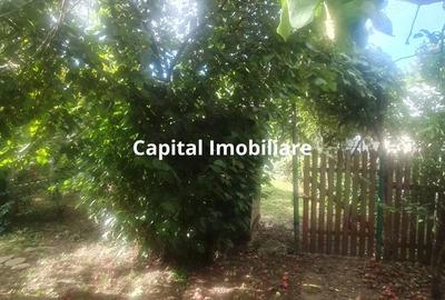 Casa Baicoi zona Schela - 12