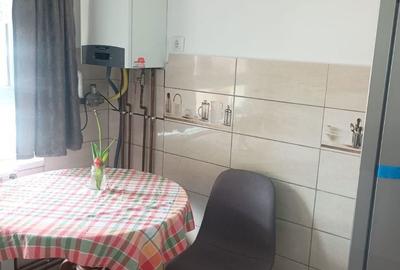 Apartament cu 2 camere decomandat în Terezian - 6