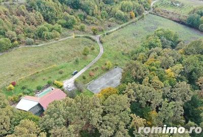 Proprietate exclusivista cu 60.000 mp teren ?i padure - 14