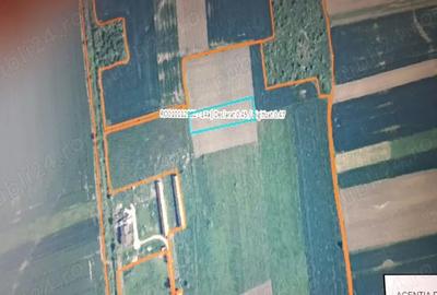 Teren de 4500 mp, în Ianova - 2