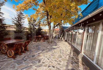 Preluare afacere - Complex Restaurant Popasul Lui Radu, Bradesti - 3
