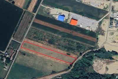 Teren de 4984 mp, în Sântion - 3