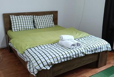 Apartament cu 2 camere semidecomandat în Gara Mare - 5