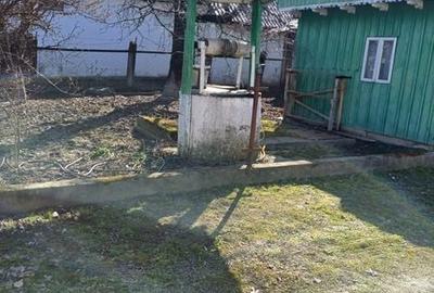 Casă cu 3 camere cu Teren 95 Mp în Bodești