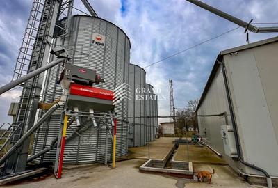 Spațiu industrial, de 240 mp, în Petrești - 13