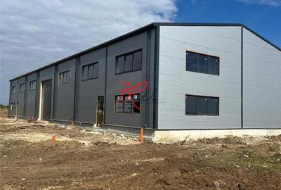 Vanzare Hala Noua Dascalu, plus teren - 2