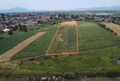 Teren Construcții intravilan de 20000 mp, în Bod - 4