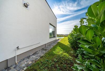 Vilă unica în Corbeanca - Liniște,natură și eleganță - 42