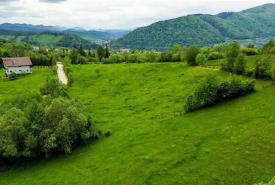 Film! Domeniu pe 11.000mp intravilan, panorama montana,Bran,Sohodol - 11
