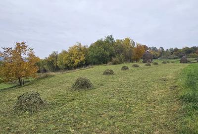 Spațiu comercial, în Breb - 2