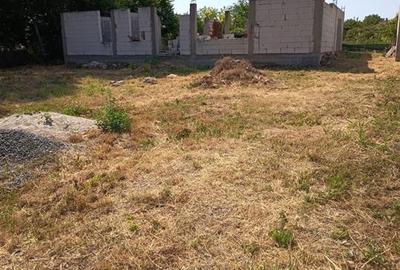 Vand teren intravilan comuna Corbu 1000mp - 7