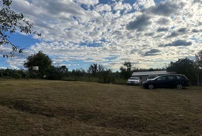 Spațiu comercial, în Soceni - 4