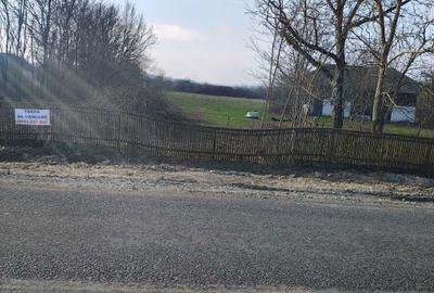 Teren de 1000 mp, în Pomi - 3