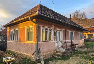 FILM! Gospodarie cu atmosfera traditionala,1.032 mp de verde si gradinarit, Sanzaieni, Covasna - 20