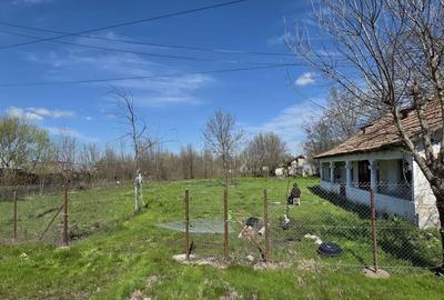 Casă cu Teren 1550 Mp în Ștorobăneasa