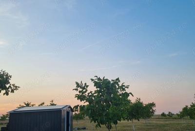 Teren de 10000 mp, în Livada - 1