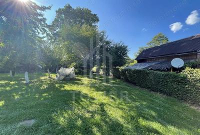 Teren deosebit cu cabana din lemn, Tocile loca?ie lini?tita - 2