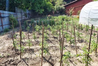 Proprietate mixta 1200mp teren locuinta si spatiu comercial / productie - 6