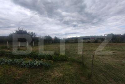 Casă cu 3 camere cu Teren 2508 Mp în Central