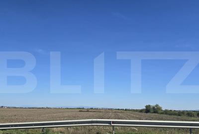 Teren de 16000 mp, în Sud - 3