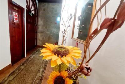 Hotel/Pensiune, de 120 mp, în Centrul Istoric - 14