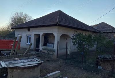 Casă cu Teren 2300 Mp în Daneți - 3