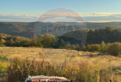 Teren intravilan  de vanzare in Feleacu - 720 MP - PUZ aprobat! - 1