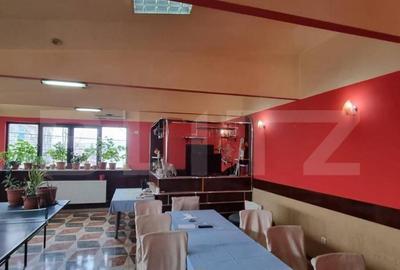 Casa/Vila suprafata utila 547mp, P + Etaj, Zona Central - 1