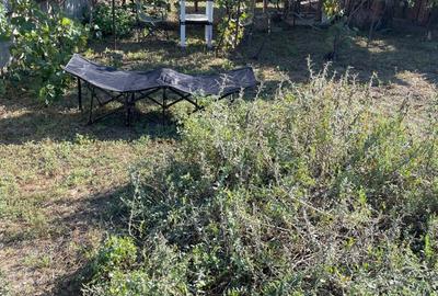 Casă cu 4 camere cu Teren 1150 Mp în Podari - 5