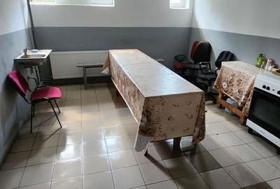 Spatiu industrial productie/ depozitare, Timiș - 33