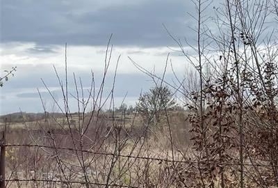 RECO vindem teren intravilan in Suncuius - 4