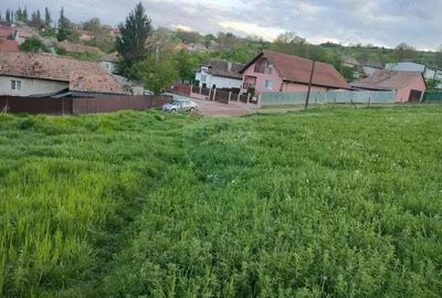 Teren de 2983 mp, în Târnăveni