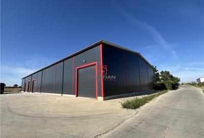 Depozit/hala/spatiu industrial Theodor Pallady - Gara Catel - 2