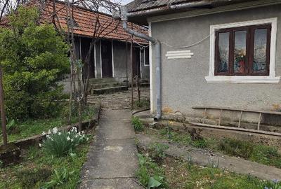 Casă cu Teren 932 Mp în Cracu Muntelui - 4