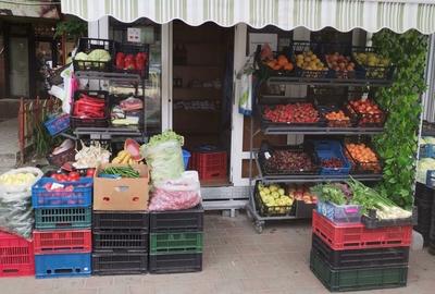 Spațiu comercial, în Vișan - 1