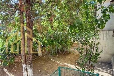 3 CAMERE TEI / MAICA DOMNULUI - BLOC 1992 - 71MP - PRETUL CEL MAI BUN DIN ZONA - 15